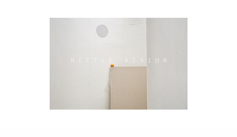 Beetle Vision 秋冬女装拍摄作品