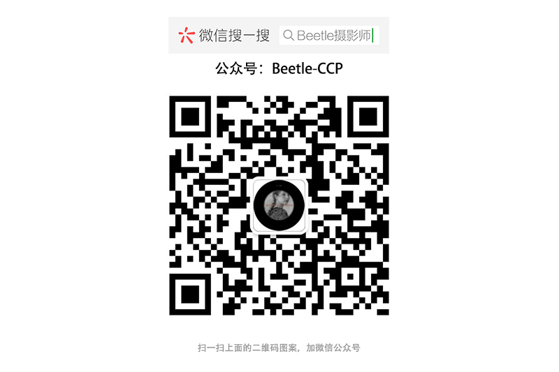Beetle Vision 秋冬女装拍摄作品